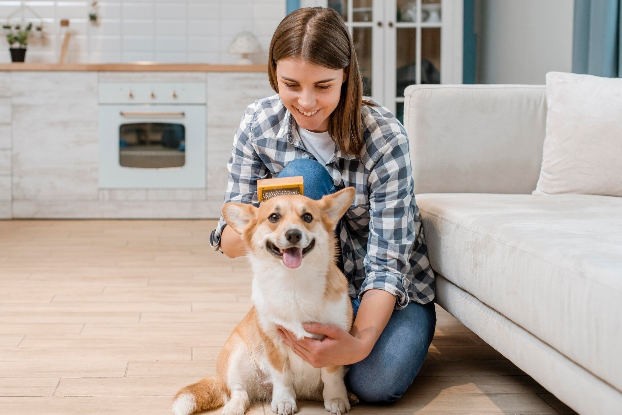Essential Grooming Tools for Healthy Pets